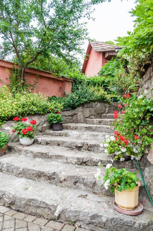 Babahaz Villa Bodajk Exterior foto